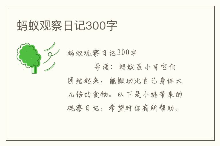 蚂蚁观察日记300字