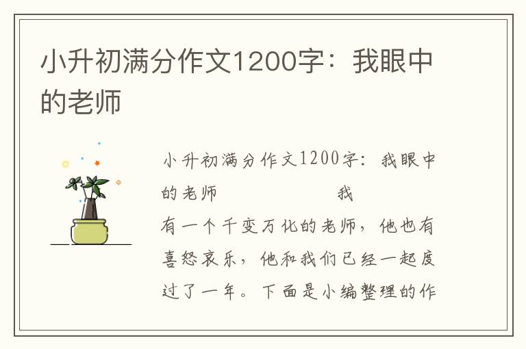 小升初满分作文1200字：我眼中的老师