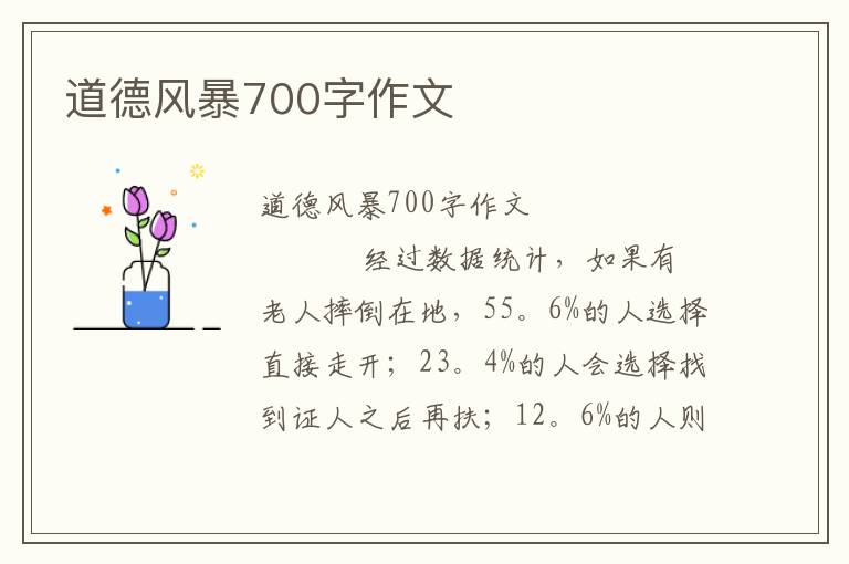 道德风暴700字作文