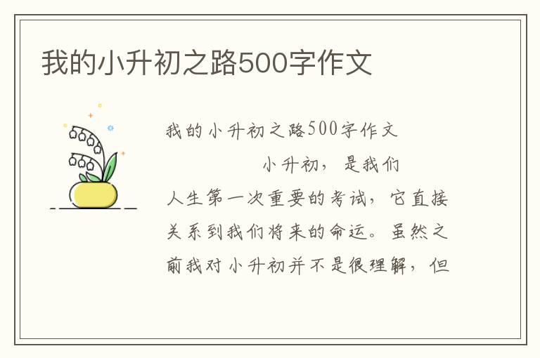 我的小升初之路500字作文