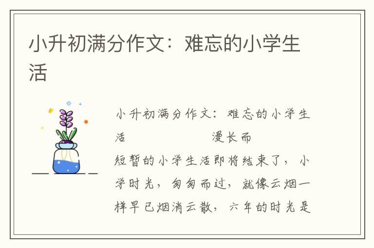 小升初满分作文：难忘的小学生活