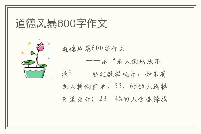 道德风暴600字作文