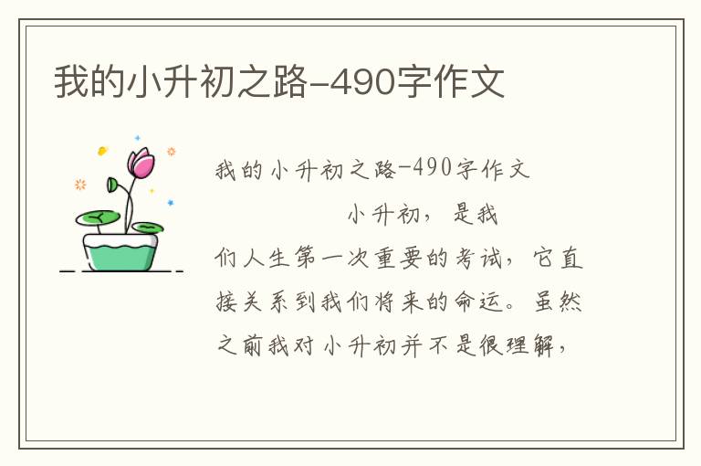 我的小升初之路-490字作文