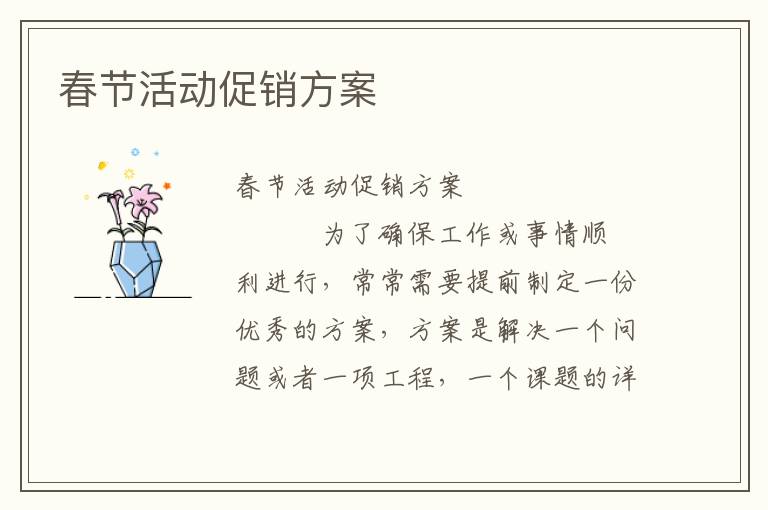 春节活动促销方案