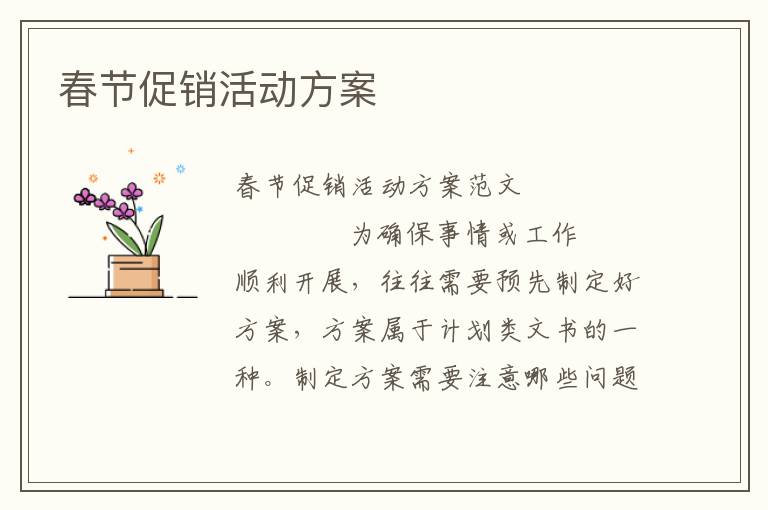 春节促销活动方案