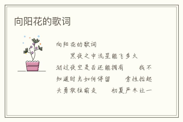 向阳花的歌词